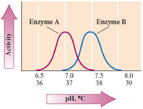 Enzyme activity optimum temperature and pH image