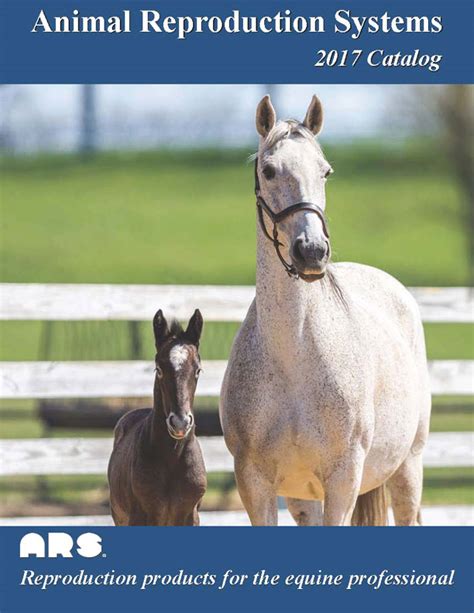 Equine Supply Catalogs
