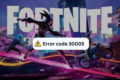 What Is Error Code 30005 in Fortnite?