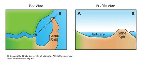 Estuary Formation