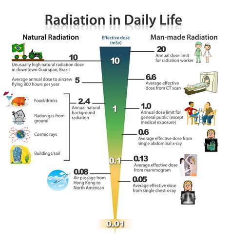 Everyday Radiation Exposure Chart