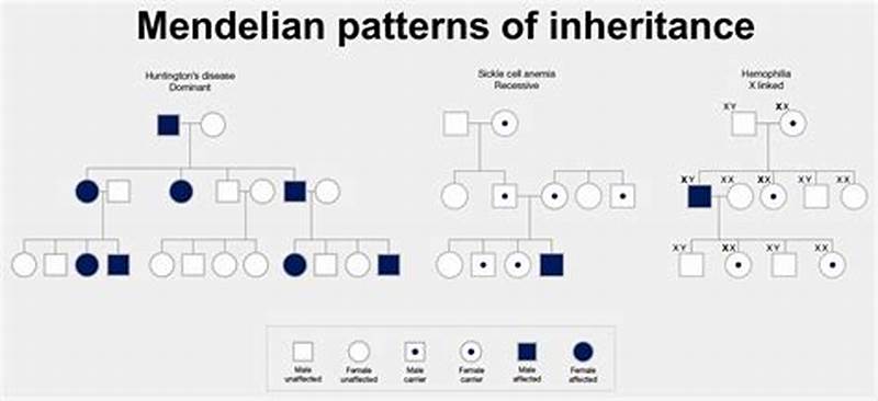 Examples Of Mendelian Pattern Of Inheritance