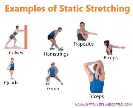 Examples of static stretches for different muscle groups