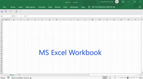 Excel worksheet