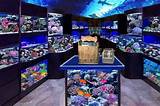 Exotic Fish Store Customer Service