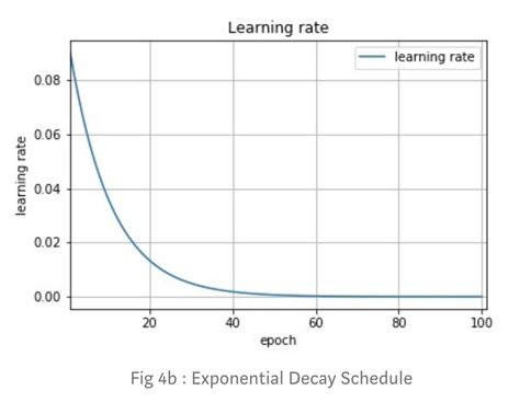 Exponential Decay