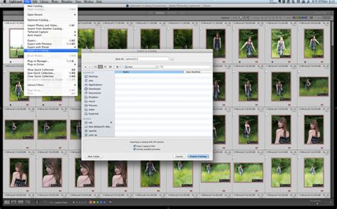 Export Lightroom Catalog