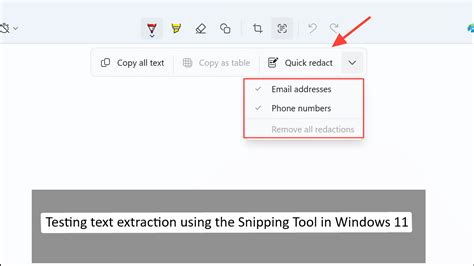 Extract Text from Any Window