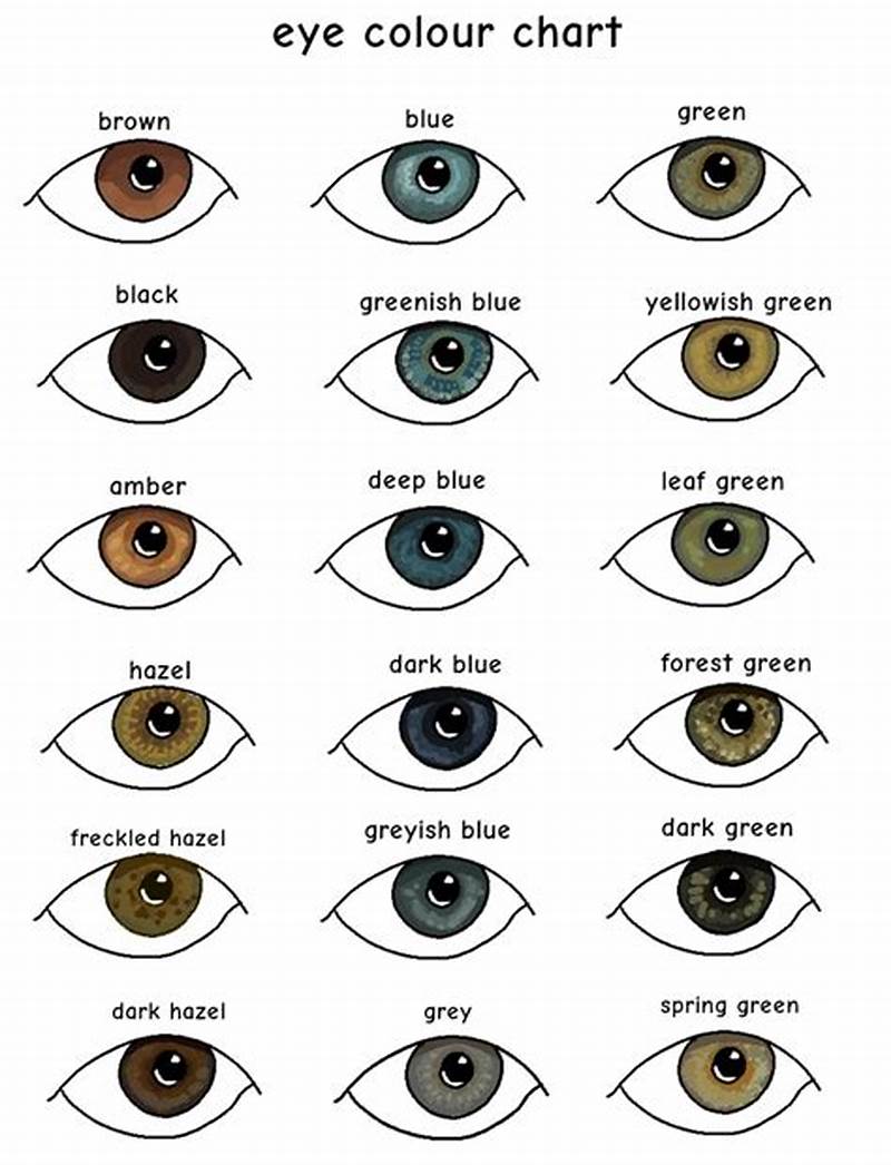 Eye Color Chart With Names