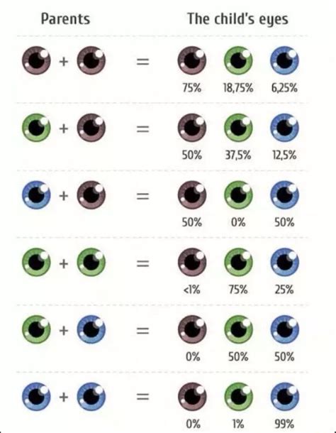 Eye Colour Probability Chart