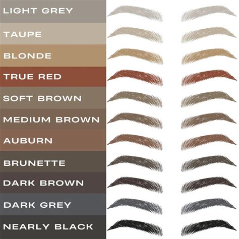 Eyebrow Color Correction Chart