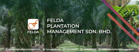 Apa Itu FELDA dan Kenapa Penting?