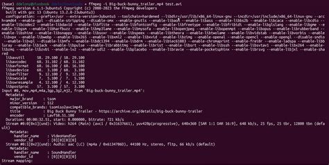FFmpeg command line example