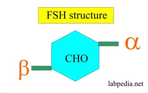 FSH hormone structure