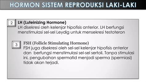FSH pada Laki-Laki