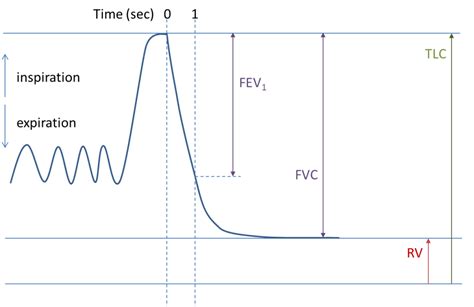 FVC Pulmonary Test