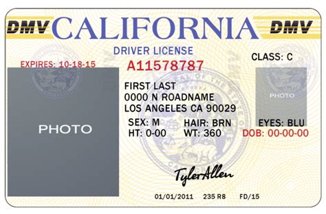 Fake Id Template