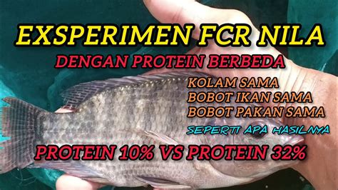 Fakta Menarik tentang FCR