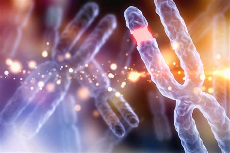 Fakta Menarik Homozigot