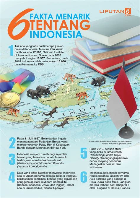 Fakta Menarik Tentang JDK dan Java