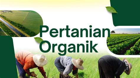 Fakta Menarik Negara Agraris
