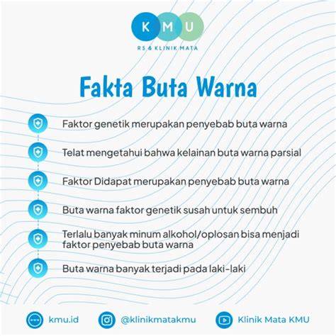 Fakta Warna