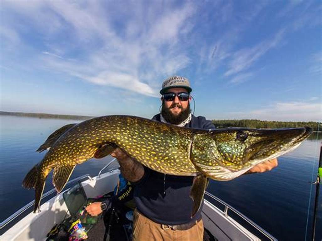 Fall Fishing on Lake Superior