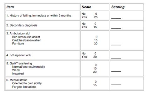 Fall Risk Score Chart