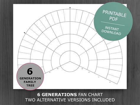 Fan Chart Family Tree