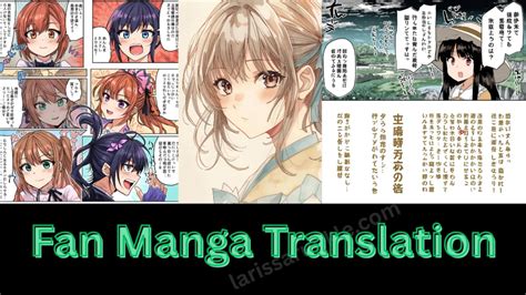 Fan Translation Process