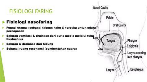 Faring