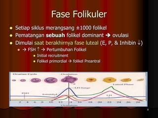 Fase Folikuler