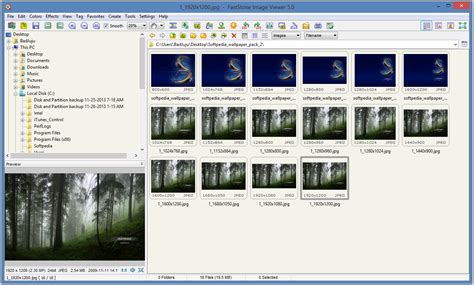 FastStone Image Viewer Interface