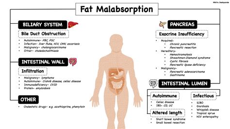 Fat Malabsorption Symptoms