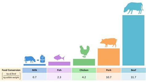 Feed Conversion Ratio