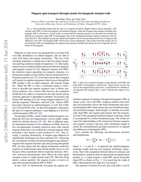 Ferrimagnetic domain visualization