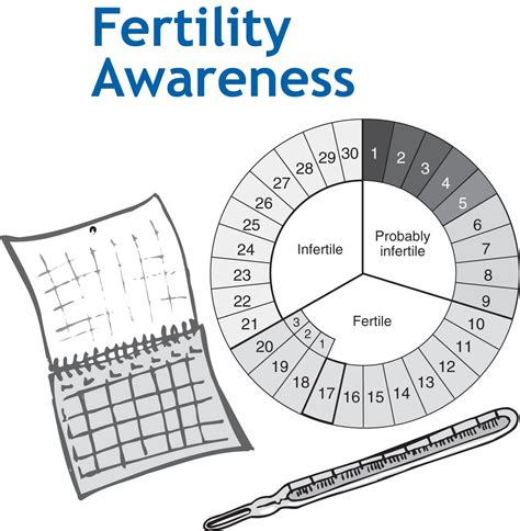 Fertility Awareness Method Chart
