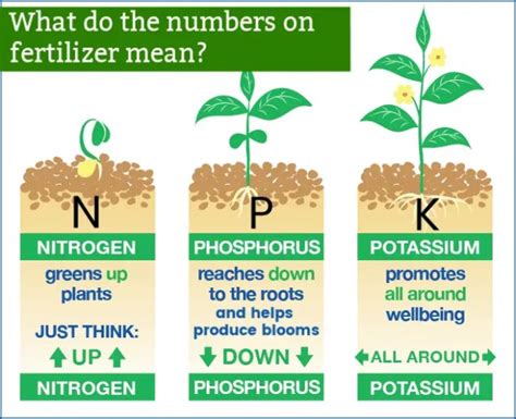 Fertilizer Number Chart