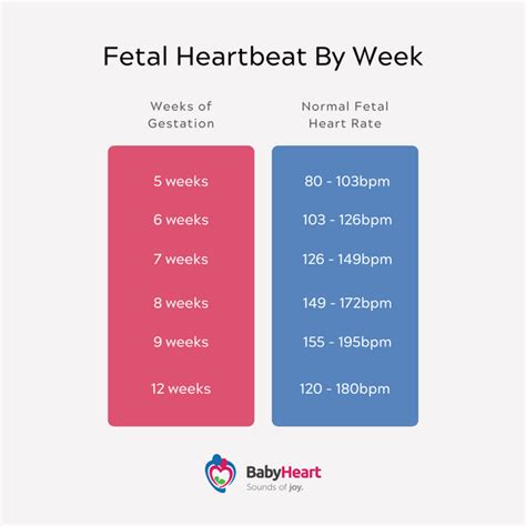 Fetal Heart Rate Chart Week By Week