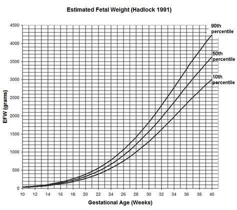 Fetal Percentile Growth Chart