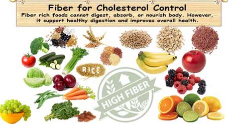 Fiber Lower Blood Cholesterol