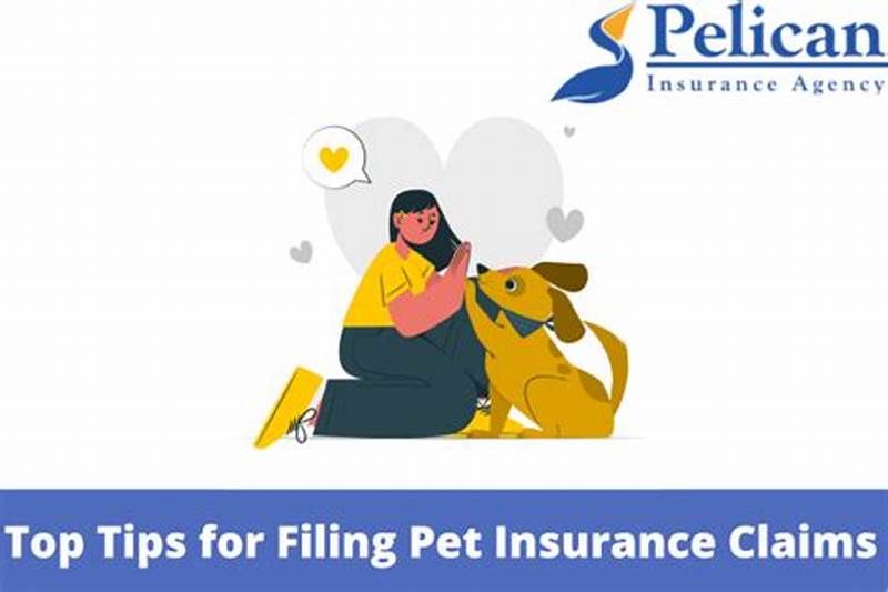 File Multiple Pet Insurance Claims At Once
