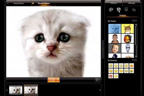 Filter Wajah Kucing Ajaib