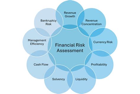Financial Risk Assessment