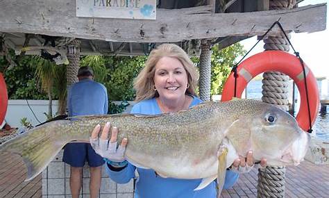 Fish Caught in Key Largo