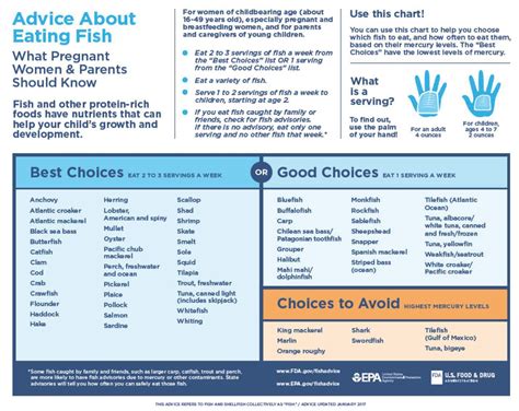 Fish In Pregnancy Chart