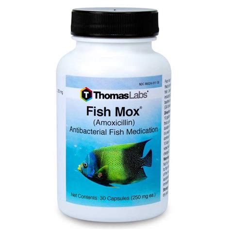 Fish Mox exacerbating an illness