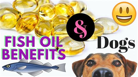 Fish Oil Benefits for Dogs