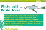 Fish Oils Brain Function