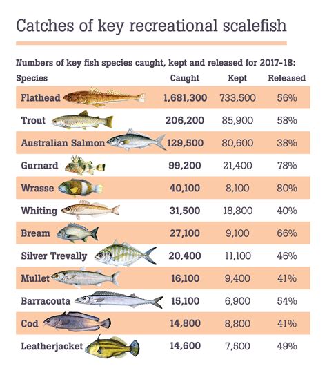 Fish Population Fishing Report